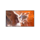 Sony BZ30P Pantalla plana para señalización digital 109,2 cm (43) LED Wifi 400 cd / m² 4K Ultra HD Negro Android 24/7